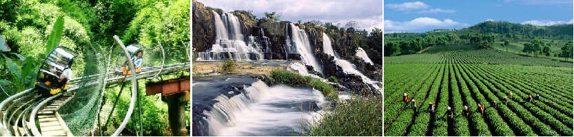 du lịch Dambri